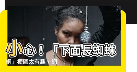 下面長蜘蛛網梗圖|20張超好笑【蜘蛛網】梗圖！快來看看網友們的搞笑創作！